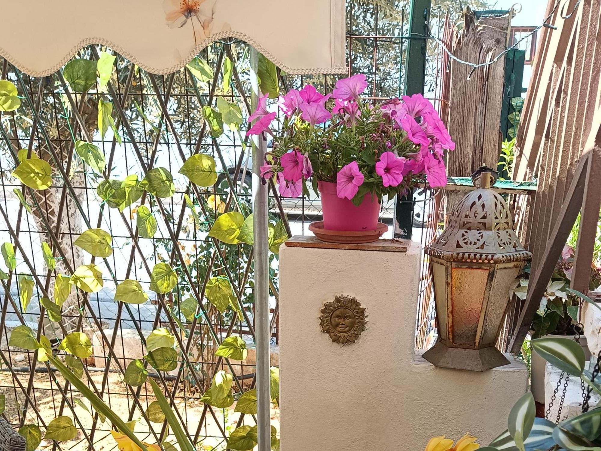 Melograno Daire Markópoulon Dış mekan fotoğraf