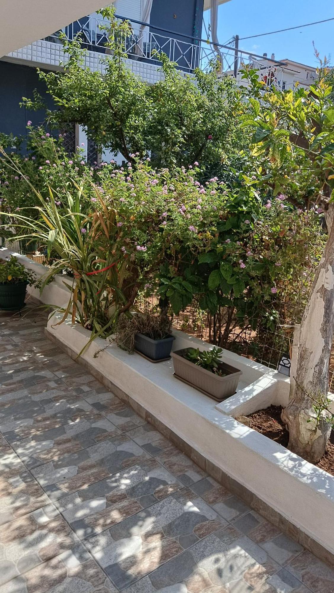 Melograno Daire Markópoulon Dış mekan fotoğraf