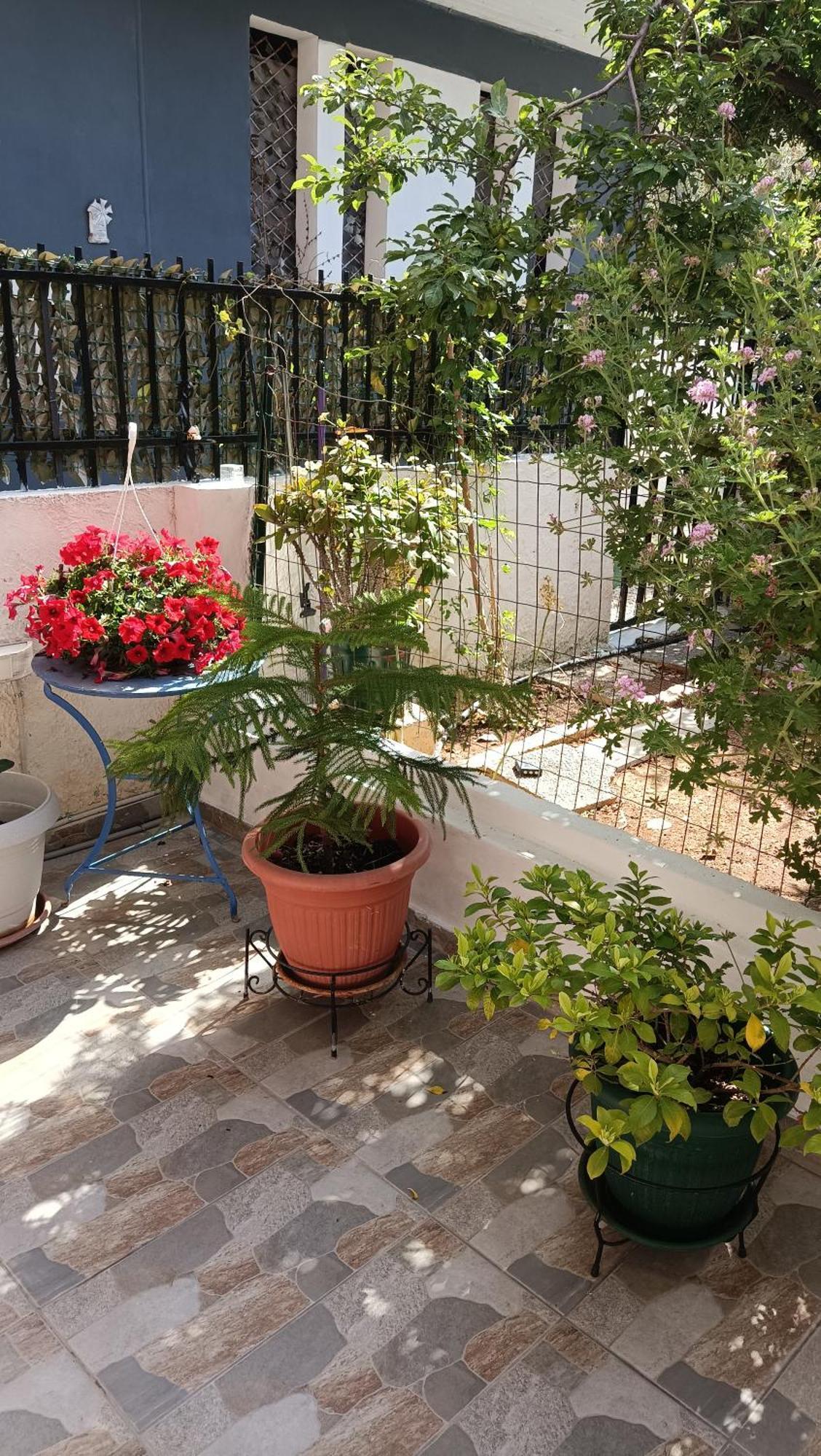 Melograno Daire Markópoulon Dış mekan fotoğraf